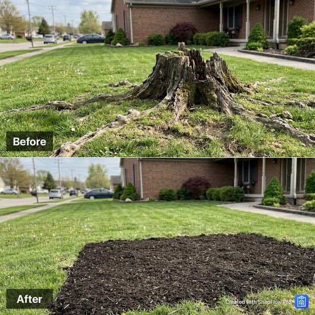 Example Before and After composite for a stump grinding project